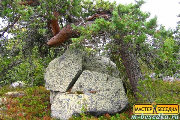 Фильмы онлайн с адамом сандлером смотреть онлайн